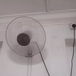 风扇
