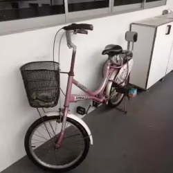自行车