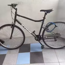 自行车