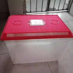 宠物箱