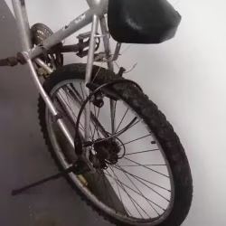 自行车