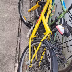 自行车