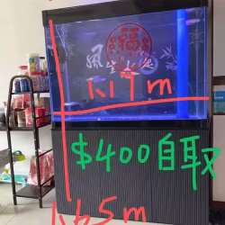 鱼缸