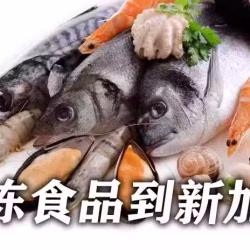 中国-新加坡冷链运输！