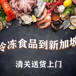 火锅料冷冻海鲜食品海运到新加坡，新加坡冷冻食品运输