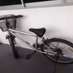 自行车