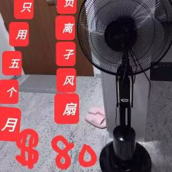 负离子风扇。下价!!!  自取。