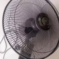壁扇