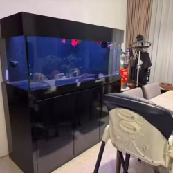 鱼缸