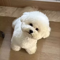 出mbs voucher有兴趣私聊