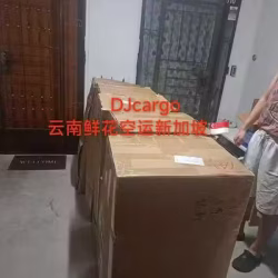 云南鲜花空运冷藏运输新加坡,新加坡鲜花清关需要什么资料