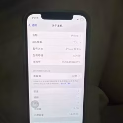 iPhone12pro