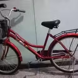 女式自行车