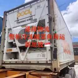 佛山酸菜鱼预制菜冷冻海运新加坡，递接物流助力中国预制菜发展出海