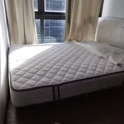 Queen size 双人床垫九成新转让