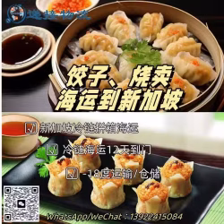 饺子早茶点心冷链海运到新加坡
