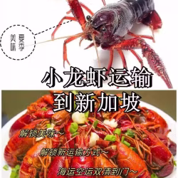 小龙虾运输到新加坡，专业运输在线追踪