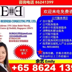新加坡专业会计，税务，秘书,注册开新公司等服务