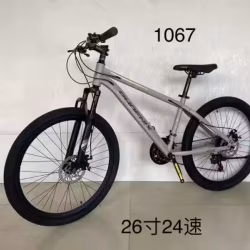 全新自行车二手价格