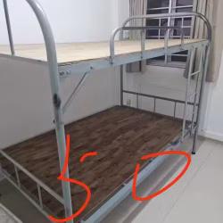 床，床垫，上下铺给钱就卖