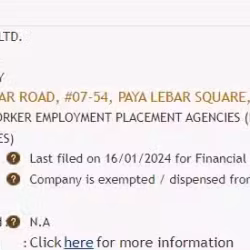 售卖公司 Openai Pte Ltd UEN（202312123D）