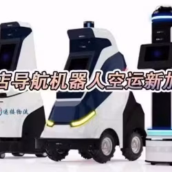 智能配送机器人空运新加坡双清到门服务
