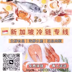 您身边的冷冻速食品运输专家