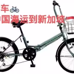 自行车新加坡别再买虾皮，海运更省钱