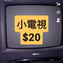 電視