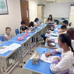 新加坡政府中小学AEIS课程，大专研究生课程，儿画，中国水墨画，油画，脑智力开发