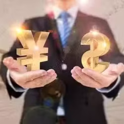 A1 Credit 新加坡私人货款 有限公司