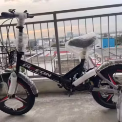20寸 变速 折叠 轻巧自行车