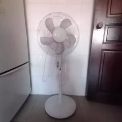 电风扇