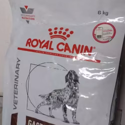 快哦十月31号不卖了 6kg Gastrointestinal 兽医 犬粮 皇家
