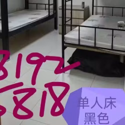 黑色单人铁床便宜处理25块钱，先驱地铁站自取，备注:不是上下铺的，只是一层的