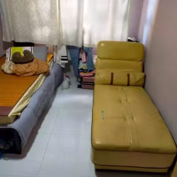 两个单人床，姐妹女性搭房一位,$520可水电网451,Bukit batok w