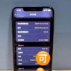 iPhone Xs Max 256G