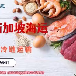 肉类水果生鲜食品海运到新加坡专业运输渠道