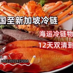 新加坡冷冻拼箱海运，吃货必备物流服务