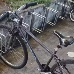 自行车