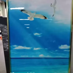 一个画