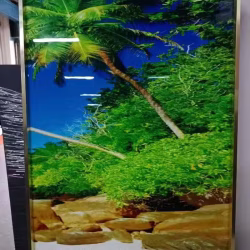 一个画