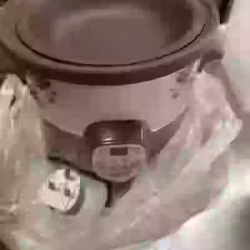 商用，家用电子瓦煲2个，3.5𠃊