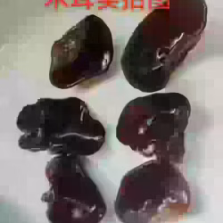东北木耳 甩卖