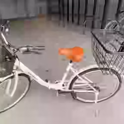 全新自行车 $80