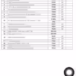 Consultants 公司申请BCA BLS and CRS 