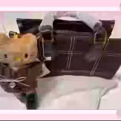 Hello kitty hand bag 
