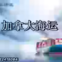 中国至加拿大的一站式双清包税到门服务