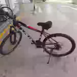 自行车