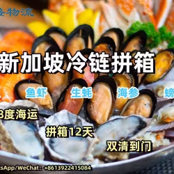 面包糕点海鲜冷链海运到新加坡运输服务